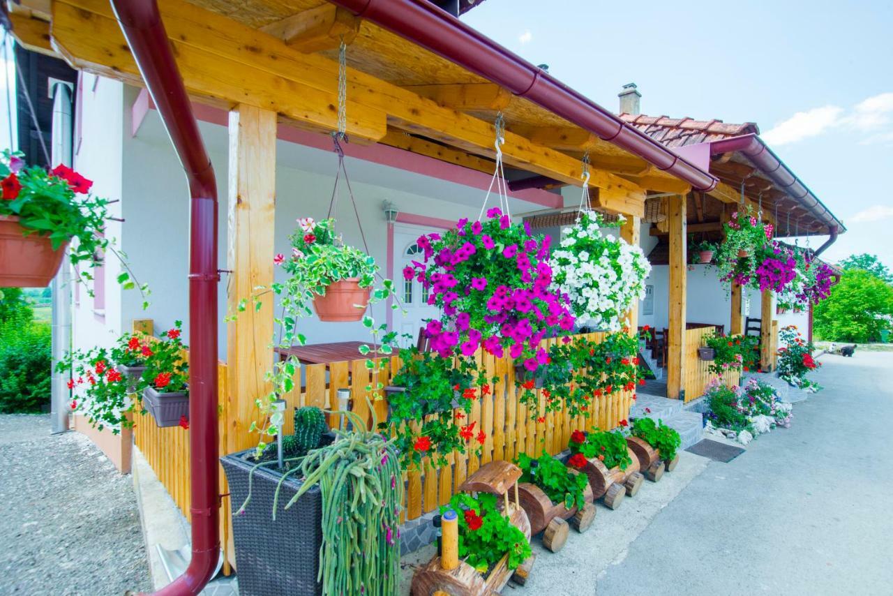Guesthouse Ella Slunj Esterno foto